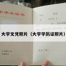 大学文凭照片（大学学历证照片）