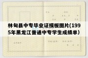 林甸县中专毕业证模板图片(1995年黑龙江普通中专学生成绩单）