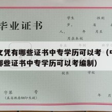 中专文凭有哪些证书中专学历可以考（中专文凭有哪些证书中专学历可以考编制）