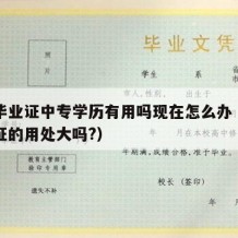 中专毕业证中专学历有用吗现在怎么办（中专毕业证的用处大吗?）