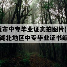 赤壁市中专毕业证实拍图片(1990年湖北地区中专毕业证书编号）