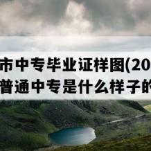 常宁市中专毕业证样图(2004年湖南普通中专是什么样子的）