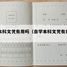 自学本科文凭有用吗（自学本科文凭有用吗知乎）