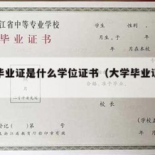 大学毕业证是什么学位证书（大学毕业证是啥）