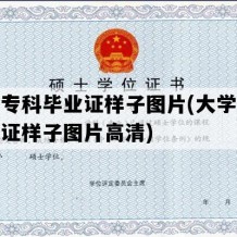 大学专科毕业证样子图片(大学专科毕业证样子图片高清)