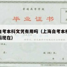 上海自考本科文凭有用吗（上海自考本科文凭有用吗现在）