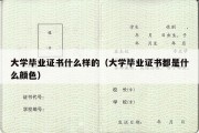 大学毕业证书什么样的（大学毕业证书都是什么颜色）