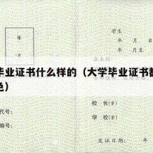 大学毕业证书什么样的（大学毕业证书都是什么颜色）