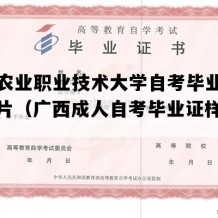 广西农业职业技术大学自考毕业证实拍图片（广西成人自考毕业证样子图片）