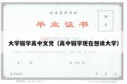 大学辍学高中文凭（高中辍学现在想读大学）