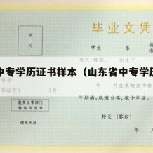 山东中专学历证书样本（山东省中专学历证明）