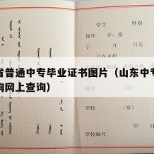 山东省普通中专毕业证书图片（山东中专毕业证查询网上查询）