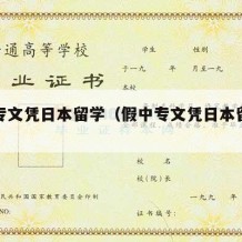 假中专文凭日本留学（假中专文凭日本留学可以吗）