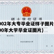 2002年大专毕业证样子图片(2000年大学毕业证图片)