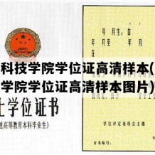 闽南科技学院学位证高清样本(闽南科技学院学位证高清样本图片)