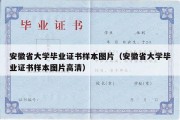 安徽省大学毕业证书样本图片（安徽省大学毕业证书样本图片高清）