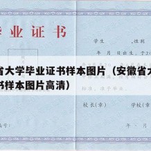 安徽省大学毕业证书样本图片（安徽省大学毕业证书样本图片高清）