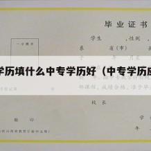 中专学历填什么中专学历好（中专学历应该怎么写）