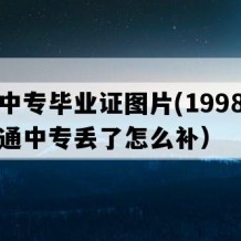 攸县中专毕业证图片(1998年湖南普通中专丢了怎么补）