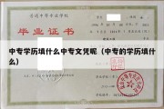 中专学历填什么中专文凭呢（中专的学历填什么）