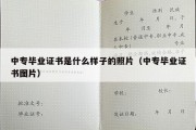 中专毕业证书是什么样子的照片（中专毕业证书图片）