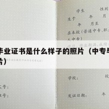 中专毕业证书是什么样子的照片（中专毕业证书图片）