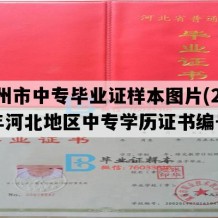 定州市中专毕业证样本图片(2019年河北地区中专学历证书编号）