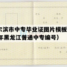 哈尔滨市中专毕业证图片模板(2001年黑龙江普通中专编号）