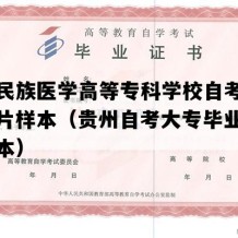 黔南民族医学高等专科学校自考毕业证图片样本（贵州自考大专毕业证高清样本）