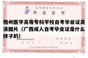 梧州医学高等专科学校自考毕业证高清图片（广西成人自考毕业证是什么样子的）