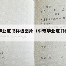 中专毕业证书样板图片（中专毕业证书模板图片）