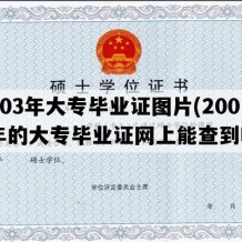 2003年大专毕业证图片(2003年的大专毕业证网上能查到吗)