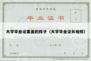 大学毕业证里面的样子（大学毕业证长啥样）