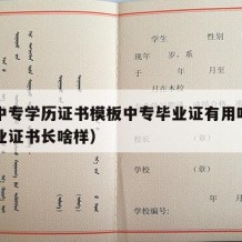 职业中专学历证书模板中专毕业证有用吗（中专毕业证书长啥样）