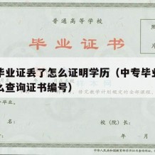 中专毕业证丢了怎么证明学历（中专毕业证丢了怎么查询证书编号）