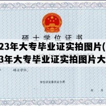 2023年大专毕业证实拍图片(2023年大专毕业证实拍图片大全)