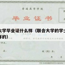 联合大学毕业证什么样（联合大学的学士服是什么样的）