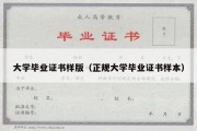 大学毕业证书样版（正规大学毕业证书样本）