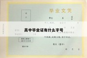 高中毕业证有什么字号