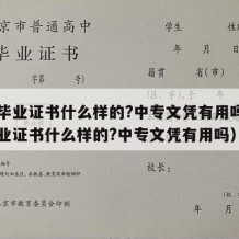 中专毕业证书什么样的?中专文凭有用吗（中专毕业证书什么样的?中专文凭有用吗）