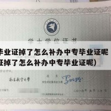 中专毕业证掉了怎么补办中专毕业证呢（中专毕业证掉了怎么补办中专毕业证呢）