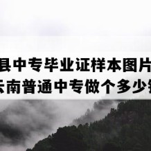 宾川县中专毕业证样本图片(2007年云南普通中专做个多少钱）