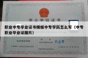 职业中专毕业证书模板中专学历怎么写（中专职业毕业证图片）