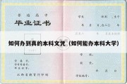 如何办到真的本科文凭（如何能办本科大学）