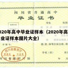 2020年高中毕业证样本（2020年高中毕业证样本图片大全）