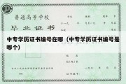 中专学历证书编号在哪（中专学历证书编号是哪个）