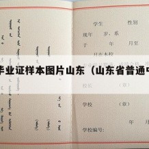 中专毕业证样本图片山东（山东省普通中专毕业证）