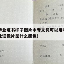 中专毕业证书样子图片中专文凭可以用吗（中专毕业证像片是什么颜色）