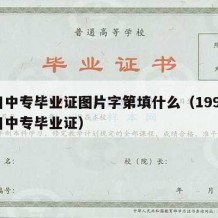 四川中专毕业证图片字第填什么（1990年四川中专毕业证）