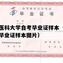 昆明医科大学自考毕业证样本（云南自考毕业证样本图片）